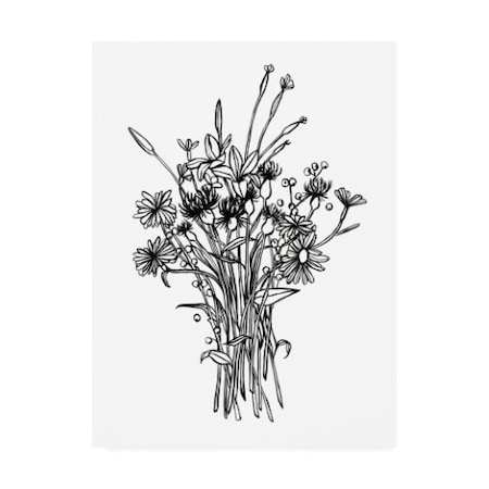 Emma Scarvey 'Black And White Bouquet I' Canvas Art,14x19